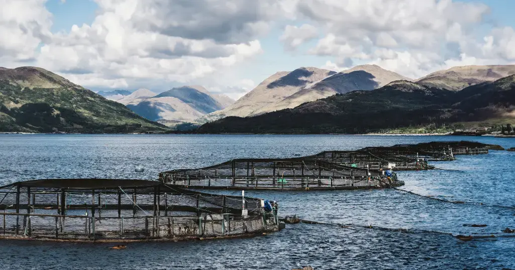 How Krucial Helps Mitigate Risk Of Temperature Changes In Aquaculture