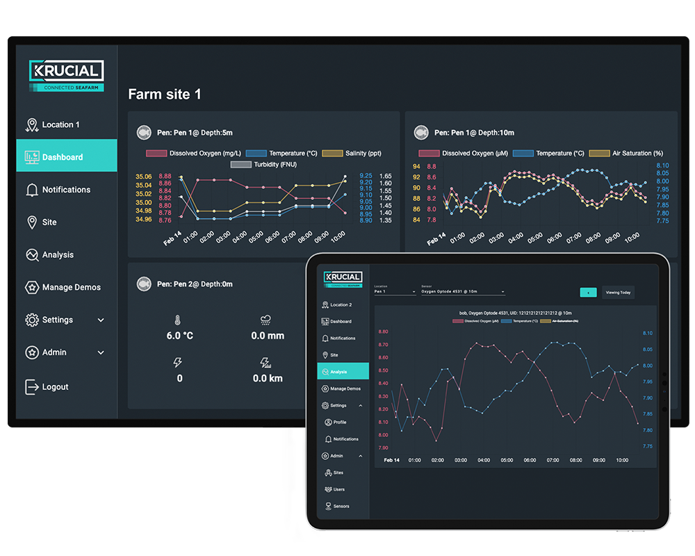 Monitor and iPad 001