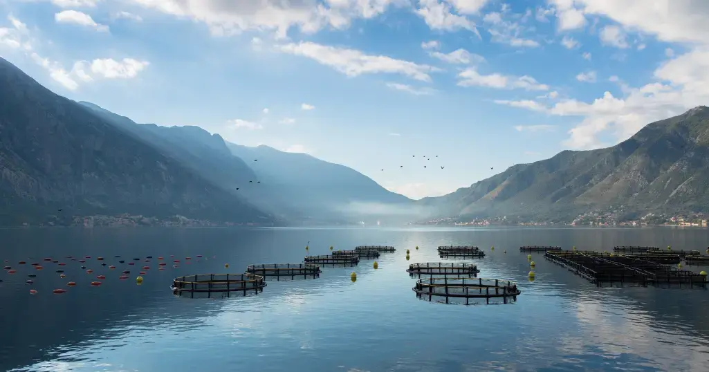 The Importance of Reliable Aquaculture Monitoring in Winter Weather